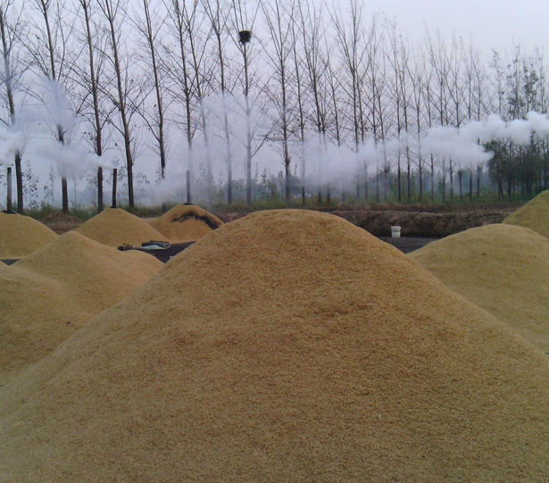 linea della pallina della buccia del riso, linea di produzione completa delle palline con capacità 1T/H~5T/H
