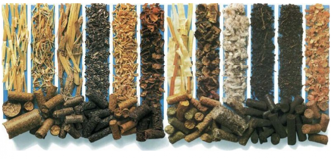 Pallina della biomassa 1T/H che fa la linea di produzione di legno a macchina della pallina per bambù, arachide Shell